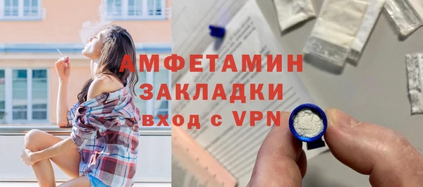 индика Арсеньев
