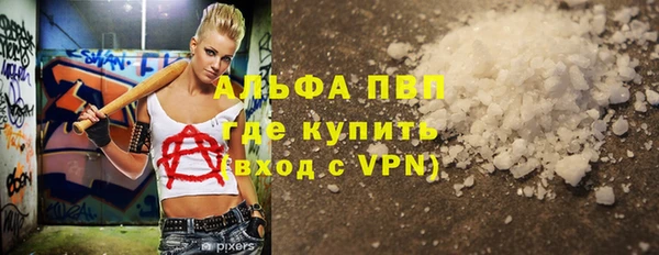 индика Арсеньев
