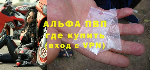 индика Арсеньев