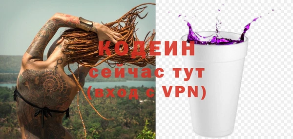 индика Арсеньев