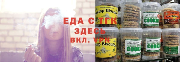 индика Арсеньев