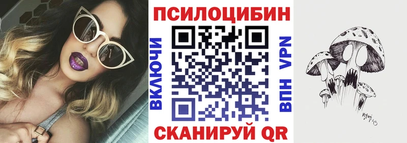 Псилоцибиновые грибы Psilocybine cubensis Шумиха